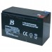 Acumulator p/u pompă de stropit electrică 12V 8Ah
